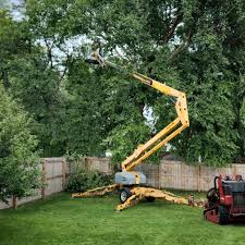 Best Sod Installation  in Prior Lake, MN